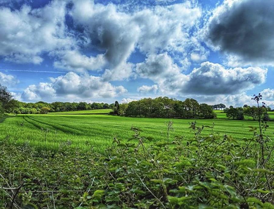 Nature Photograph - Leicestershires Countryside In The by Chris Smith