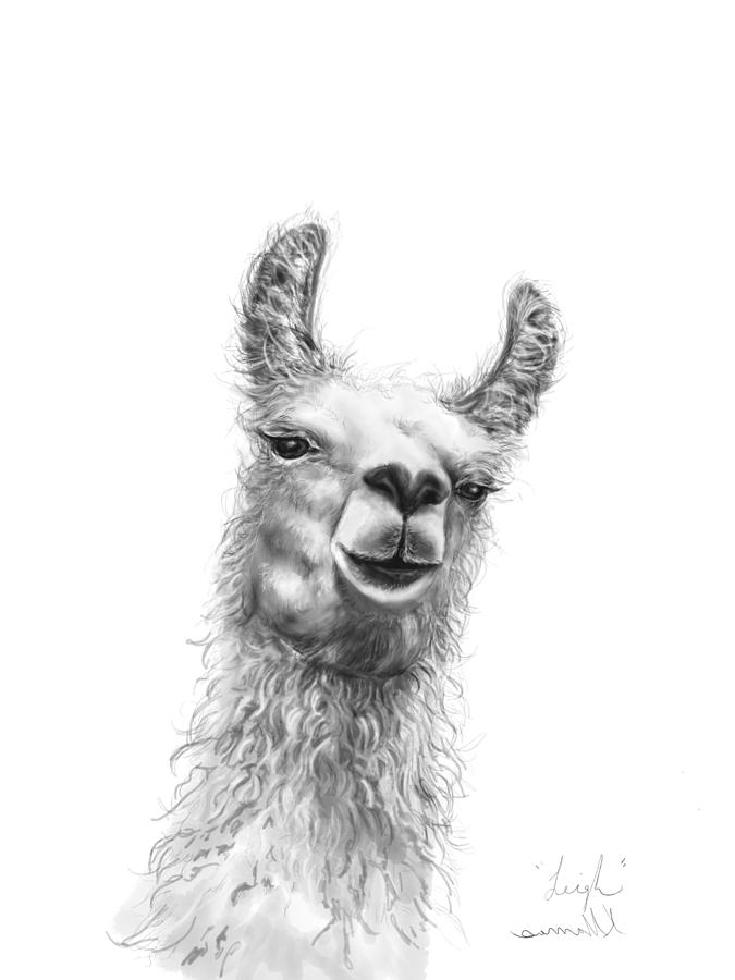 Llama Drawing - Leigh by Kristin Llamas