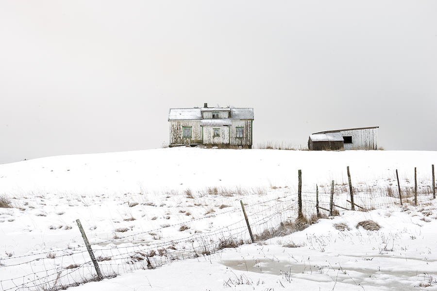 Leknes, Lofoten 1 Photograph by Dubi Roman