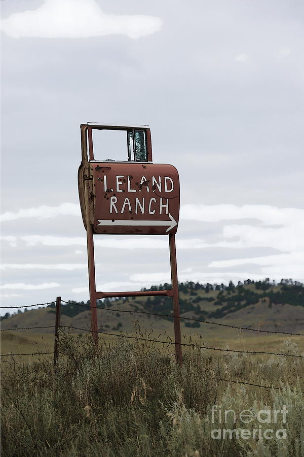 Leland Ranch 6214 Photograph by Ken DePue