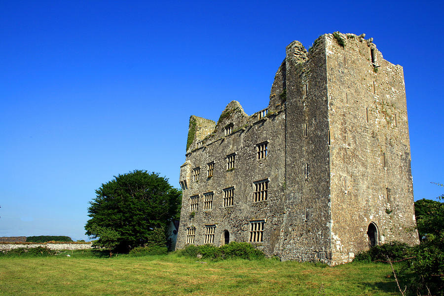 Lemenagh Castle Photograph by John Quinn