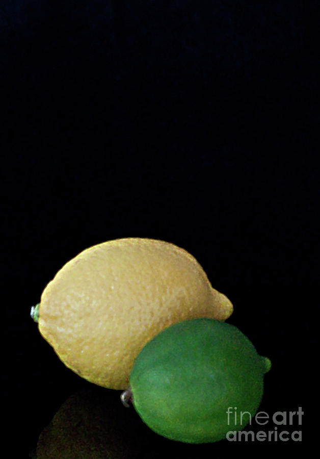 Lemon - Lime  Photograph by Sherry Hallemeier