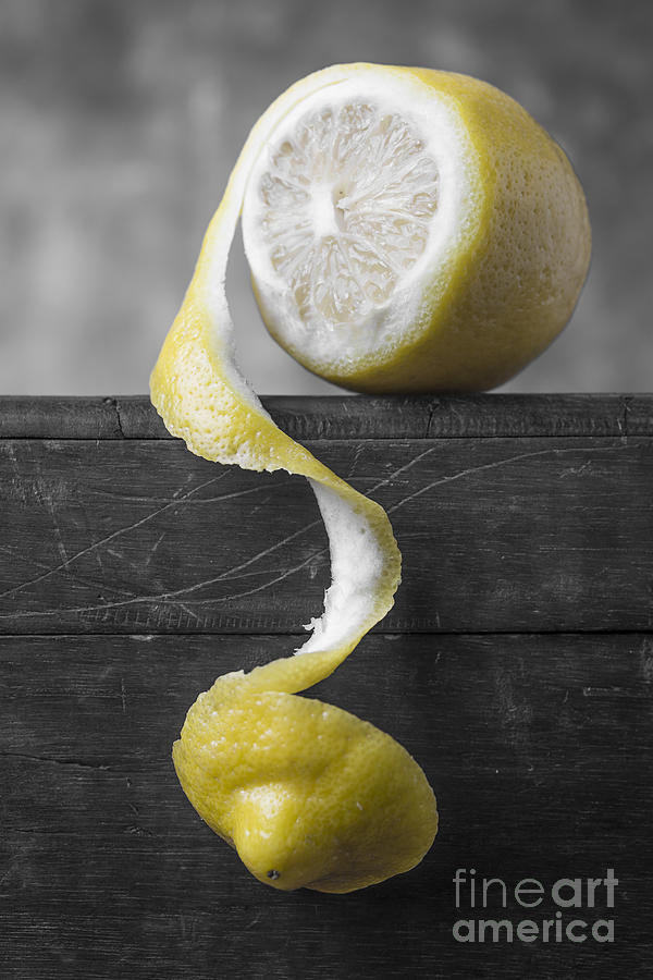 Lemon Peeling Photograph by Edward Fielding
