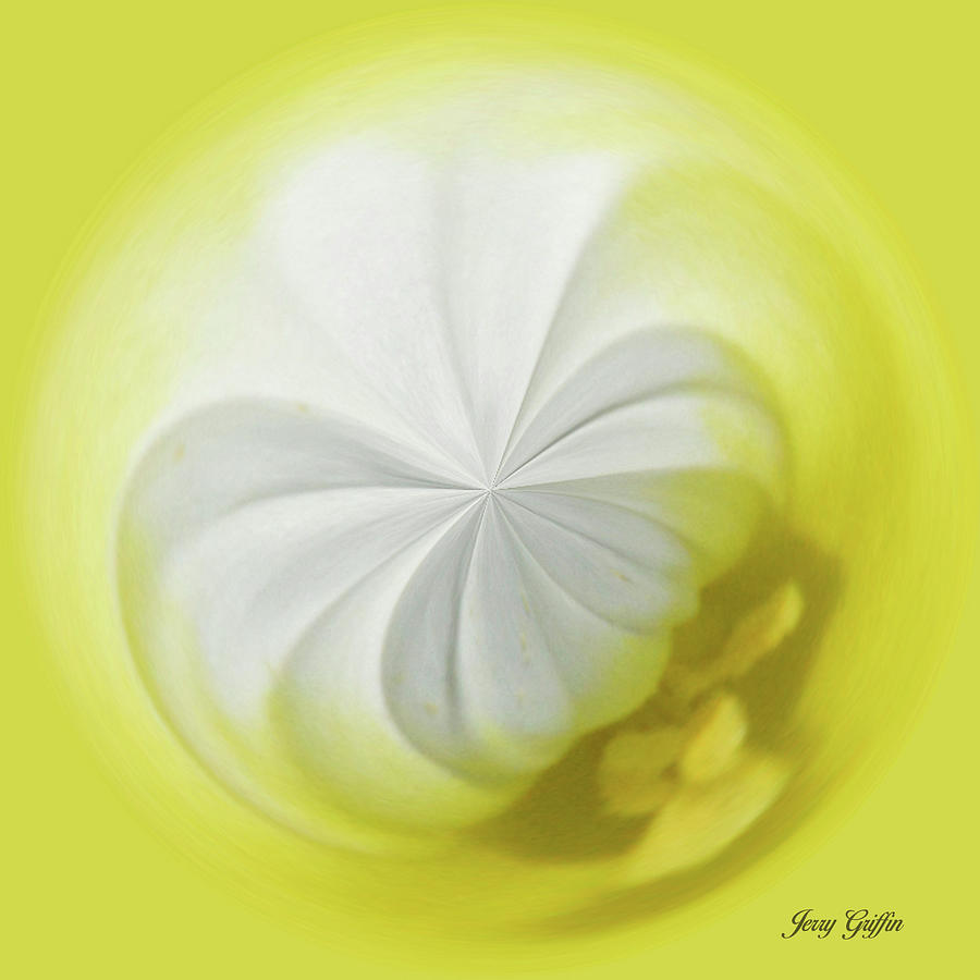 Lemon Pie Digital Art by Jerry Griffin