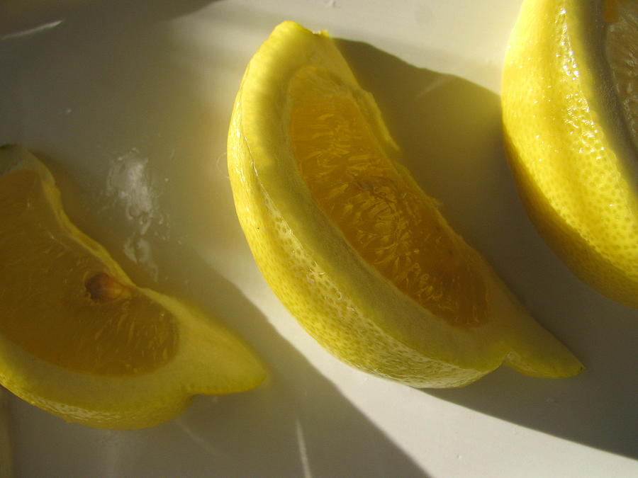Lemon Slices Photograph by Lindie Racz