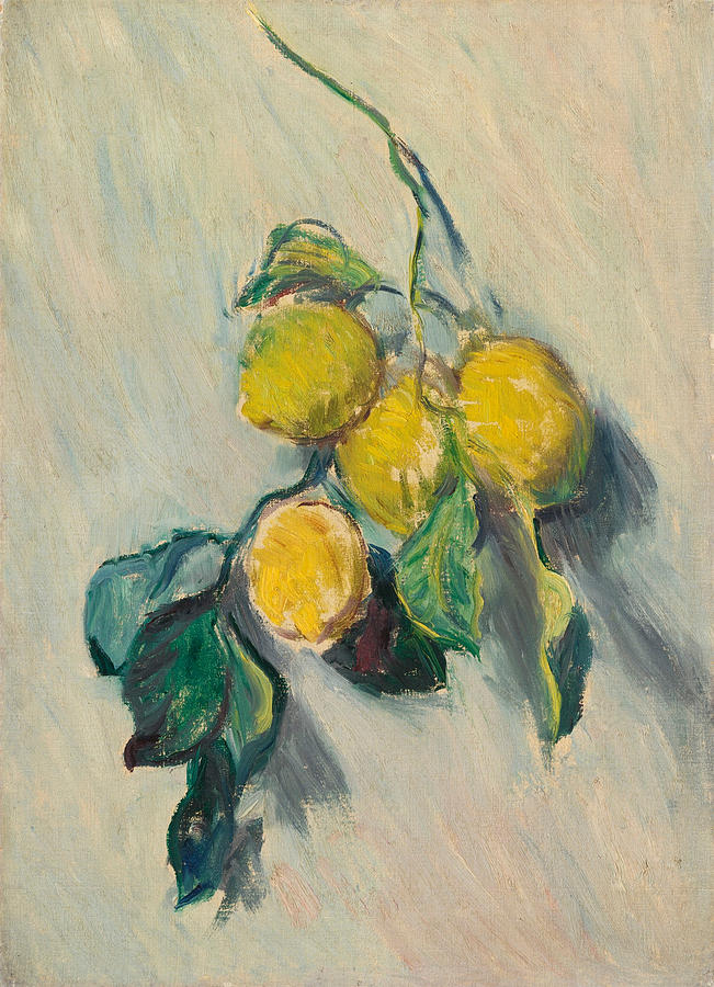 Lemon tree branch Painting by Claude Monet