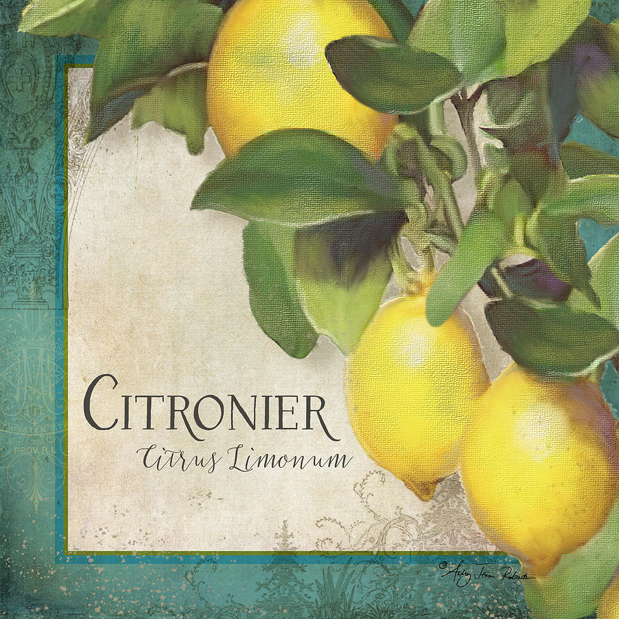 Lemon Painting - Lemon Tree - Citronier Citrus Limonum by Audrey Jeanne Roberts