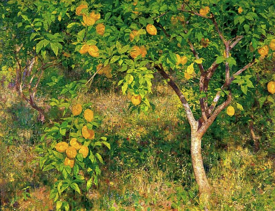 Lemon Tree Painting by Henry Scott Tuke