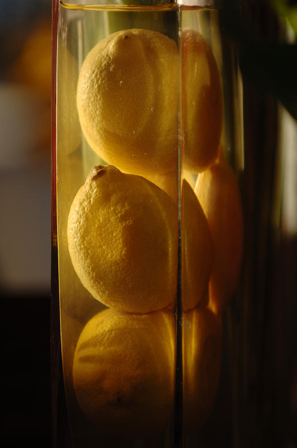 Lemon Vase Photograph by Jill Reger