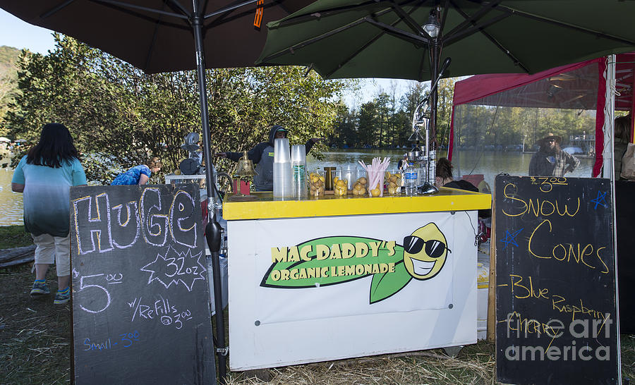 Lemonade Booth Photograph by David Oppenheimer