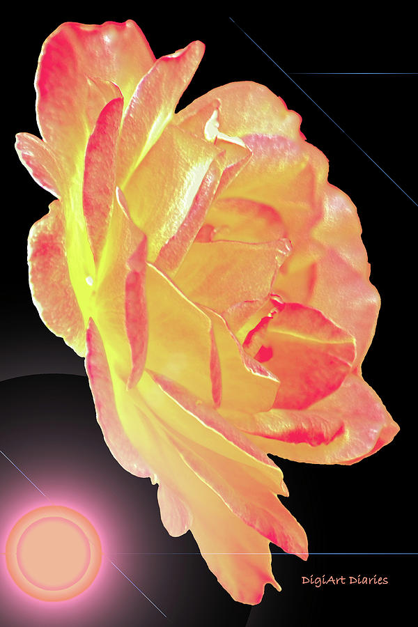 Lemonberry Rose Digital Art by DigiArt Diaries by Vicky B Fuller