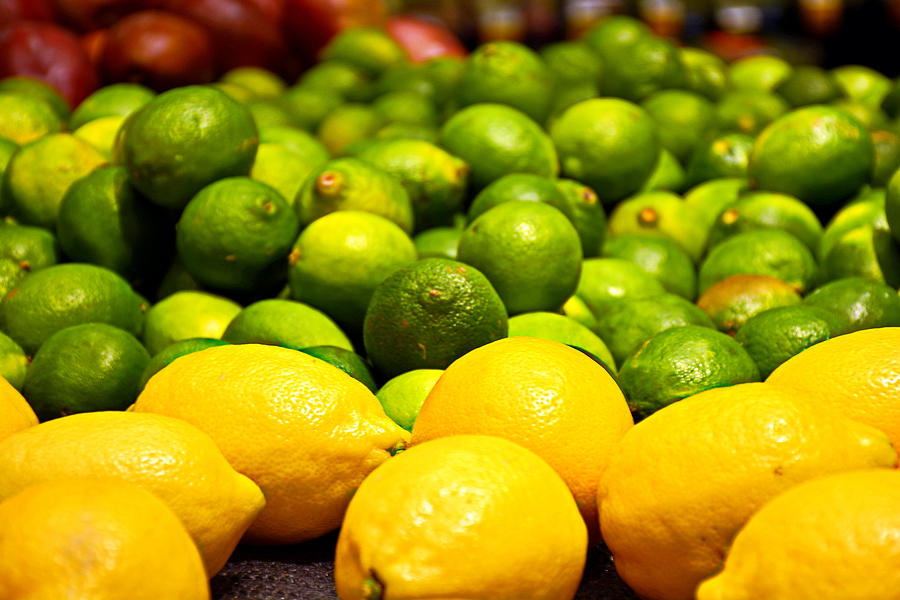 Lemons and Limes Photograph by Robert Meyers-Lussier