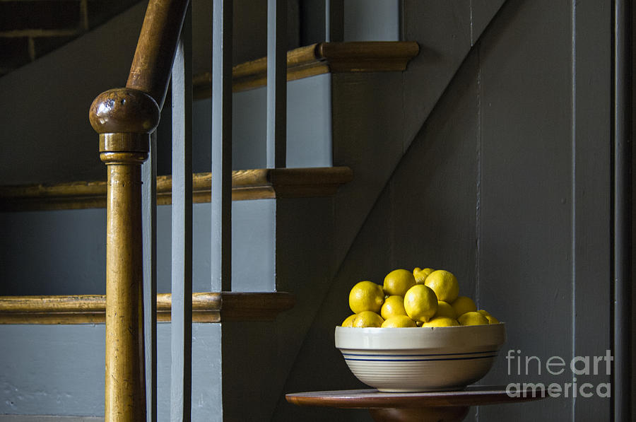 Lemons - D009753 Photograph by Daniel Dempster
