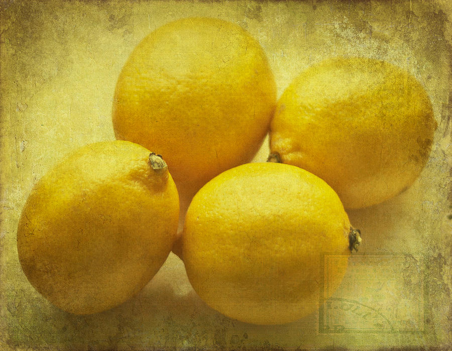 Lemons Photograph by Georgia Clare