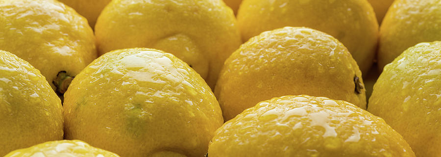 Lemons Lemons Lemons  Number 3 Photograph