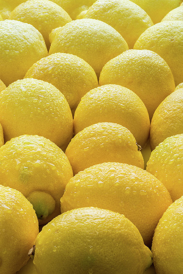 Lemon Photograph - Lemons Lemons Lemons by Steve Gadomski