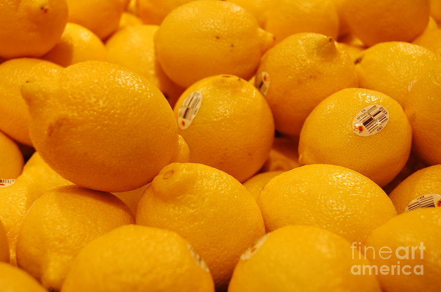 Lemons Photograph by Mia Alexander