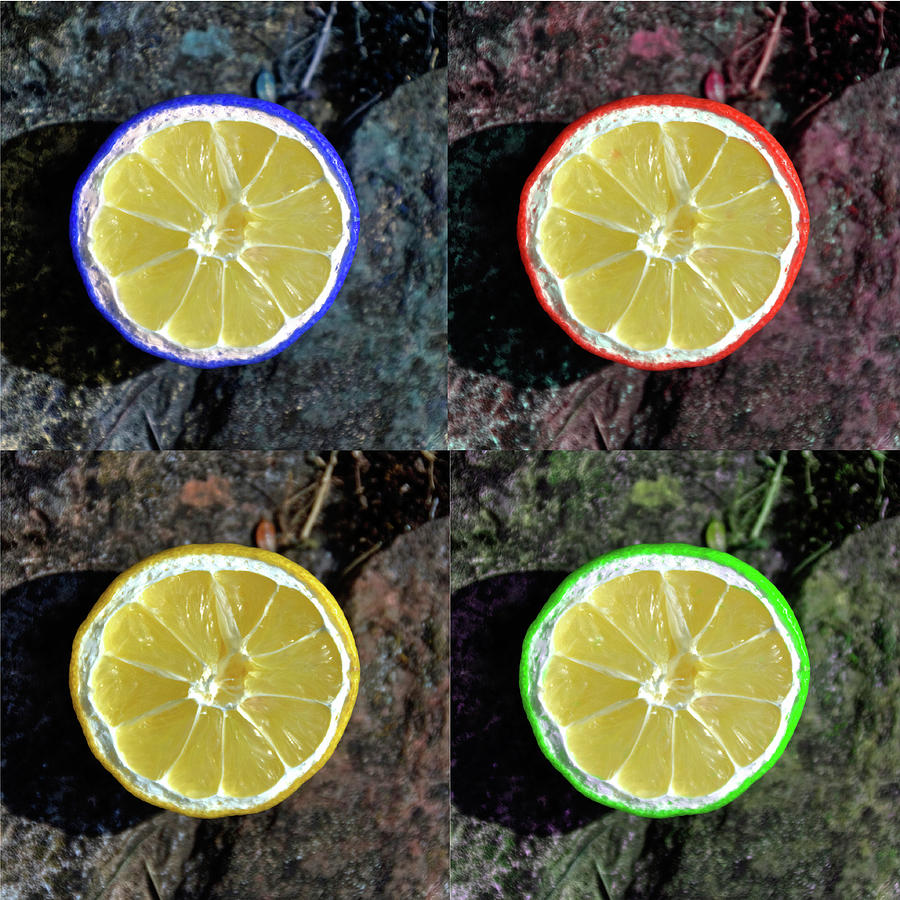 Lemon Photograph - Lemons by Rob Hawkins