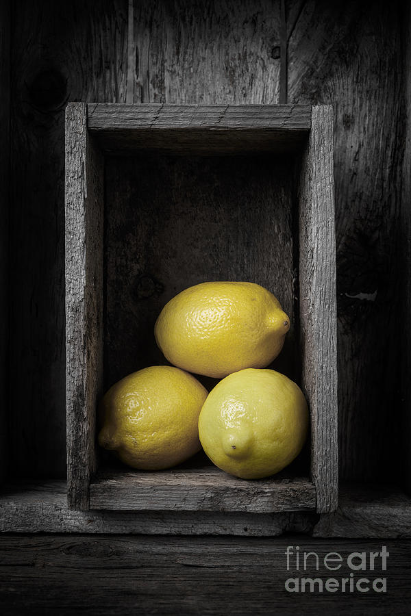 Lemons Still Life Photograph by Edward Fielding