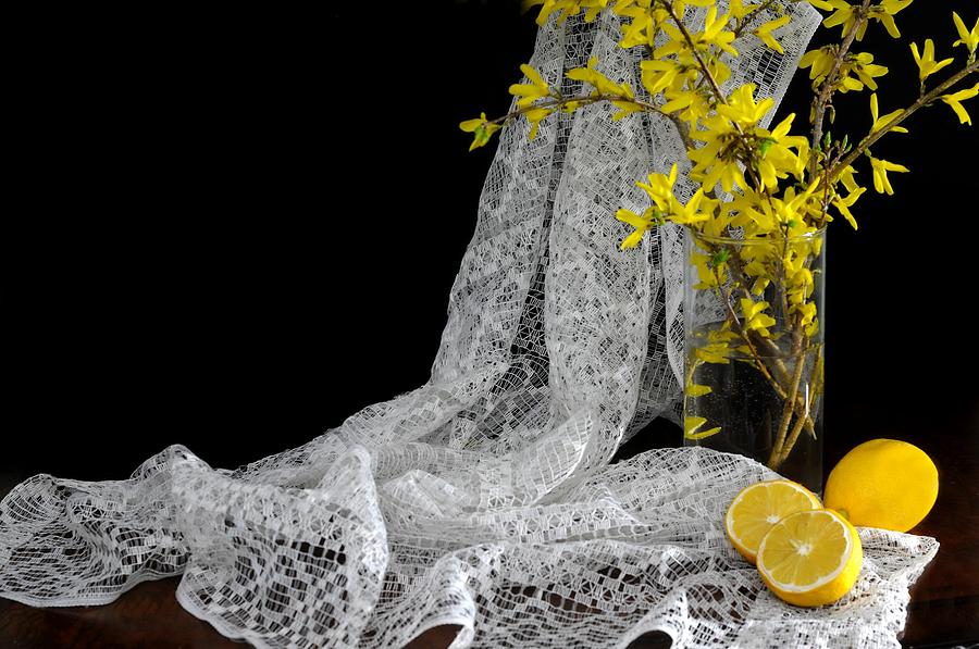 Lemonsn Lace Photograph by Diana Angstadt