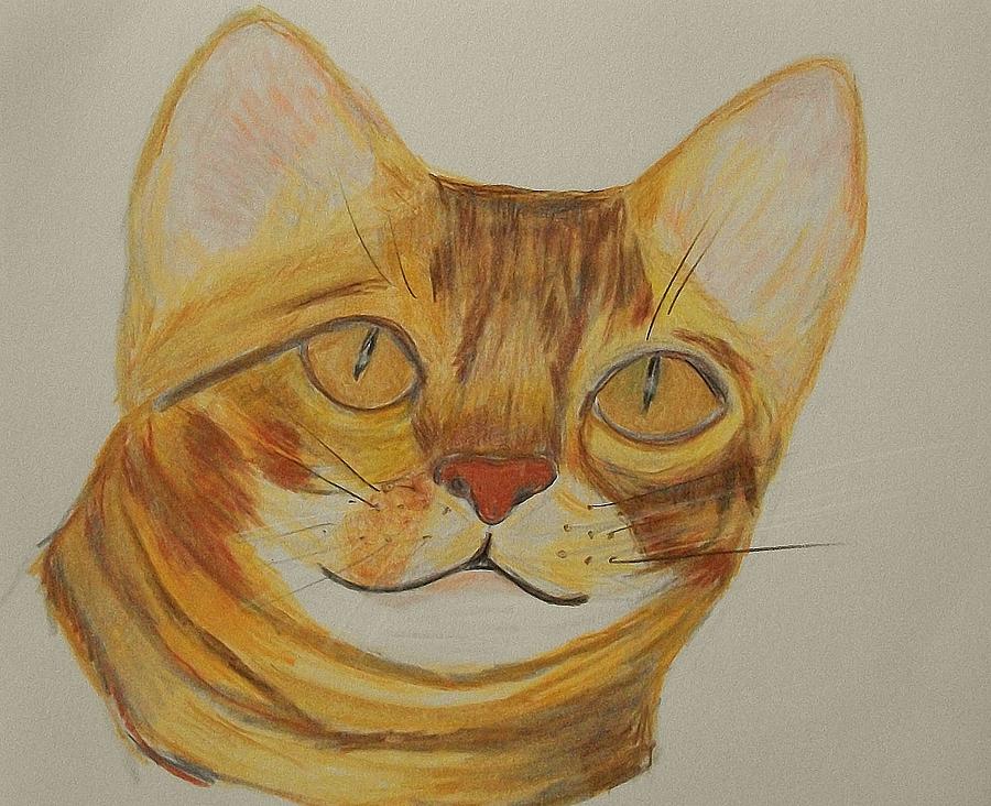 Lemony Snickcat Drawing by Sharon Bock