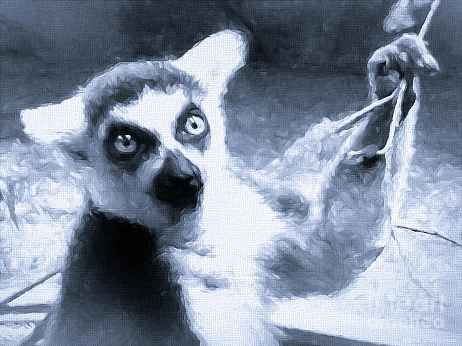 Lemur Catta Of Madagascar BW Digital Art by Mona Stut