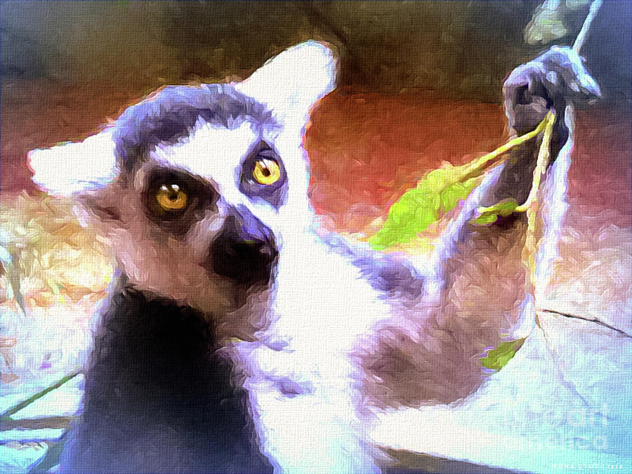 Lemur Catta Of Madagascar Digital Art