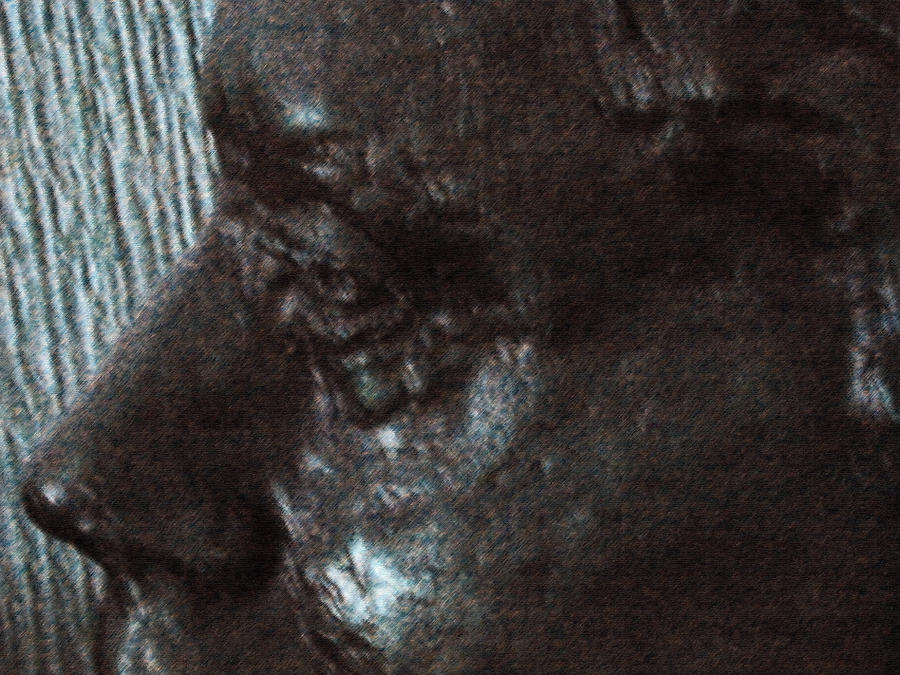 Abstract Photograph - Lenore As Bronze by Lenore Senior