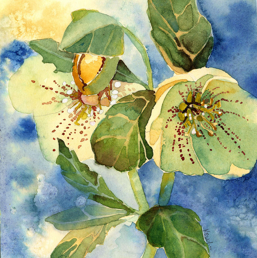 Lenten Rose Painting by Casey Shannon