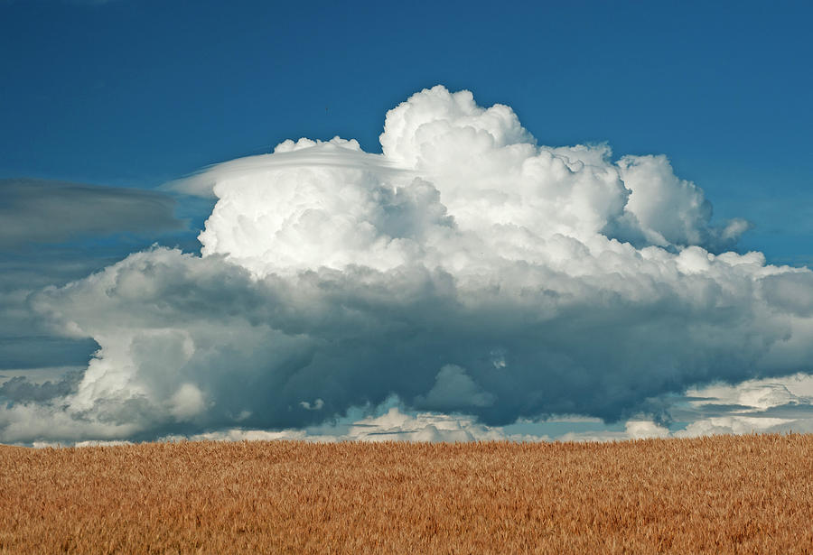 Lenticular Thunderhead Photograph by Doug Davidson