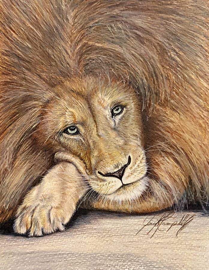  Leo  the lazy lion Drawing  by Jennifer Brewer