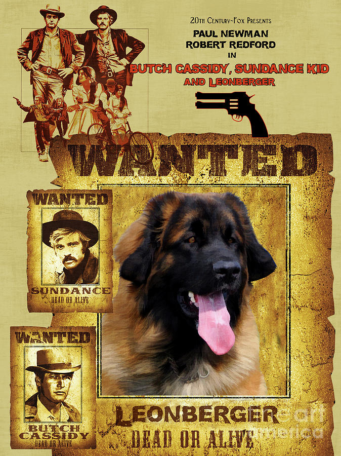 Leonberger Art Canvas Print - Butch Cassidy and the Sundance Kid Movie Poster Painting by Sandra Sij