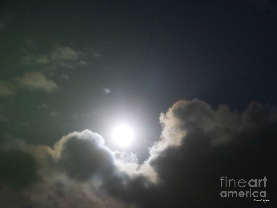 Leonian Full Moon Photograph by Leanne Seymour