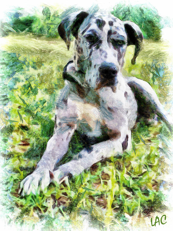 Leonid - Great Dane Painting by Doggy Lips