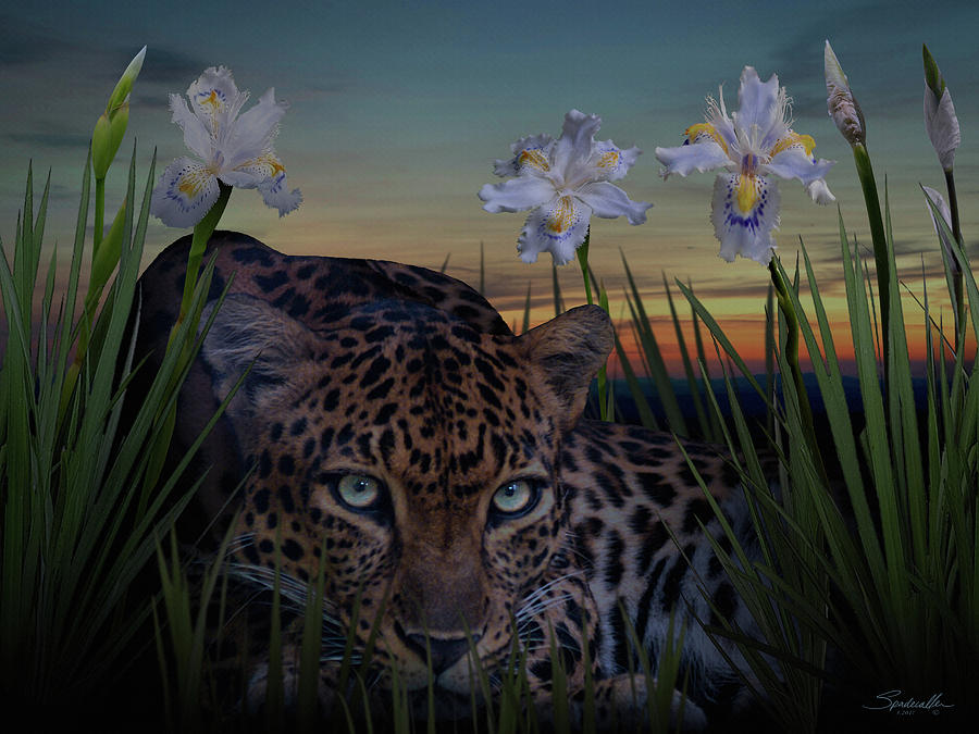 Leopard and African Irises Digital Art by M Spadecaller