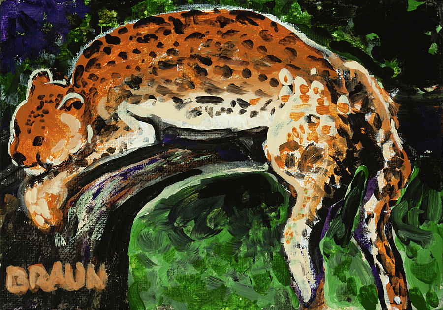 Leopard at Rest Painting by Beverly H Braun