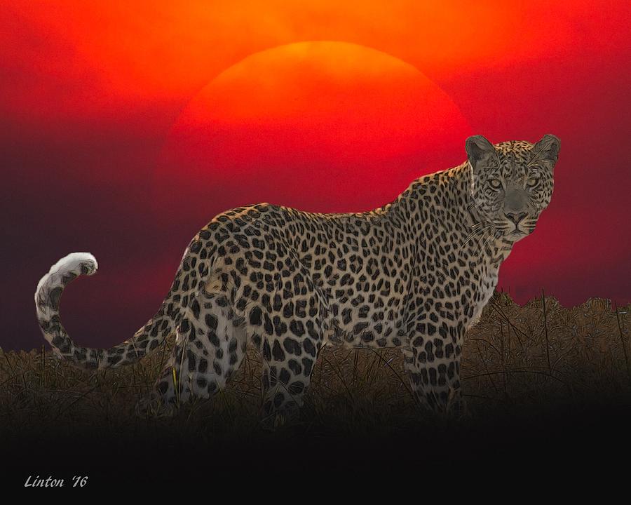Leopard At Sunset Digital Art by Larry Linton