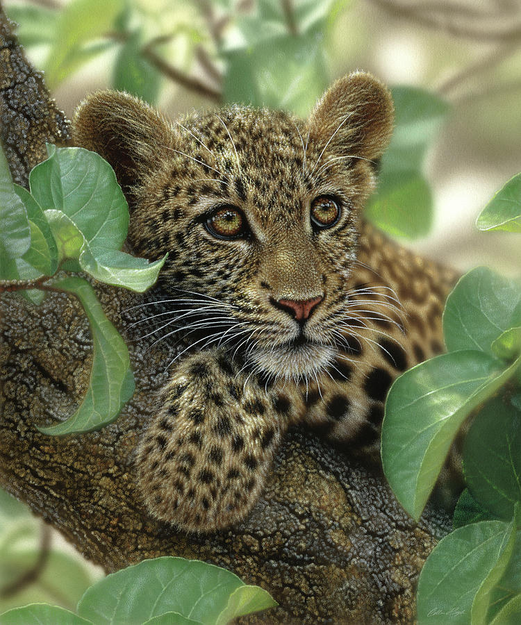 Leopard Cub - Tree Hugger Painting by Collin Bogle