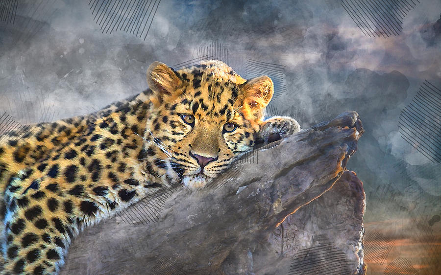 Leopard Day Off Mixed Media by Marvin Blaine