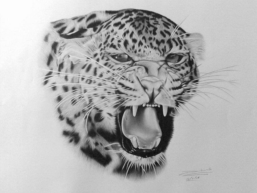 Leopard Painting by Dharmesh Prajapati - Fine Art America