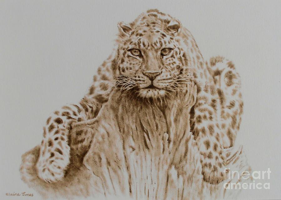 Wildlife Painting - Leopard by Elaine Jones