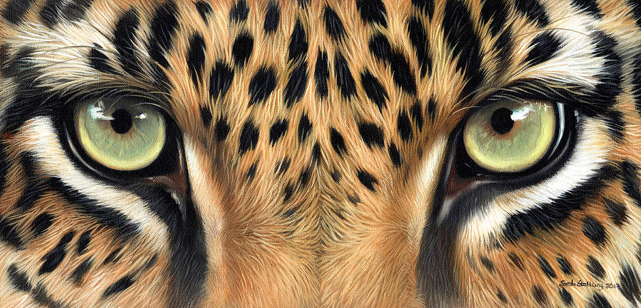 Sarah Stribbling Wildlife Art | Gallery | 호랑이