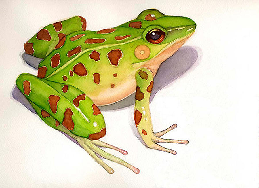 Leopard Frog Painting by Greg Marquez - Fine Art America