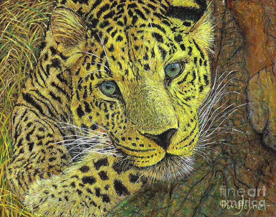 Leopard Gaze by David Joyner Leopard Gaze by David Joyner