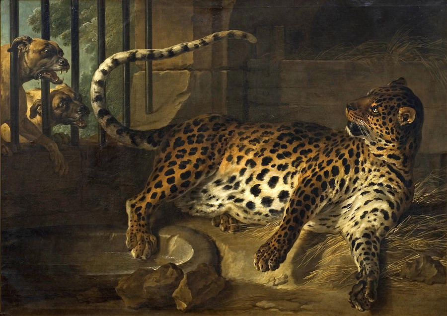 Leopard in a Cage confronted by two Mastiffs Painting by Jean-Baptiste Oudry