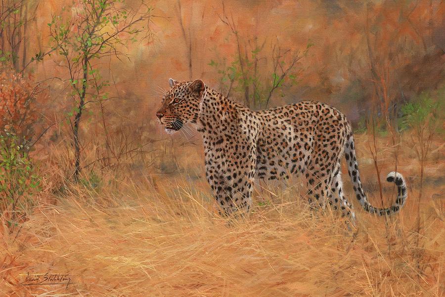 Leopard Painting - Leopard in African Bush by David Stribbling