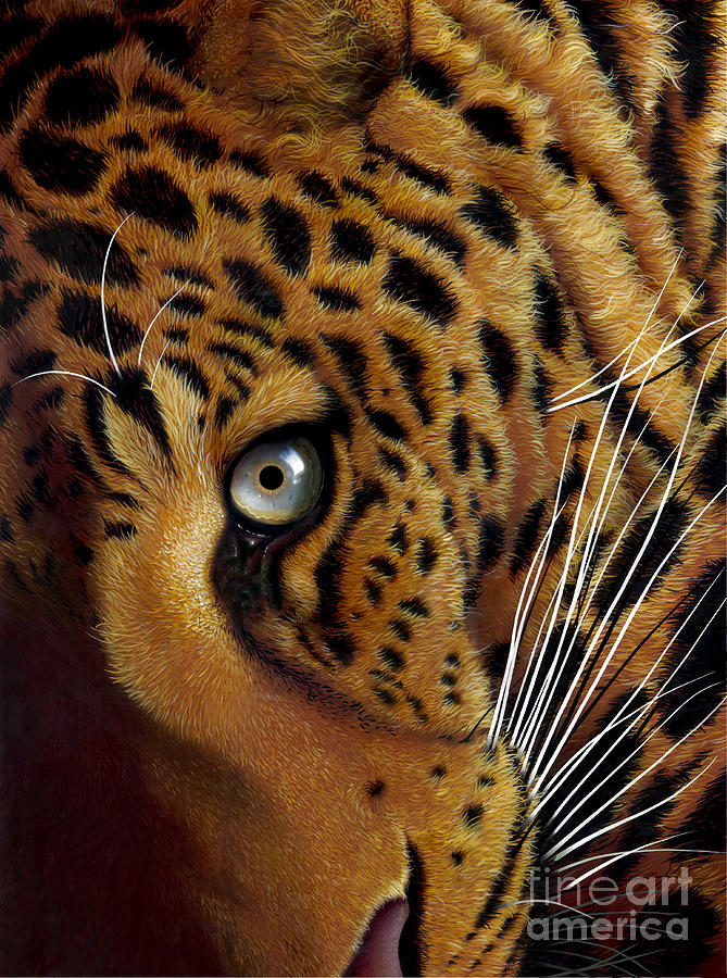 Leopard Painting by Jurek Zamoyski