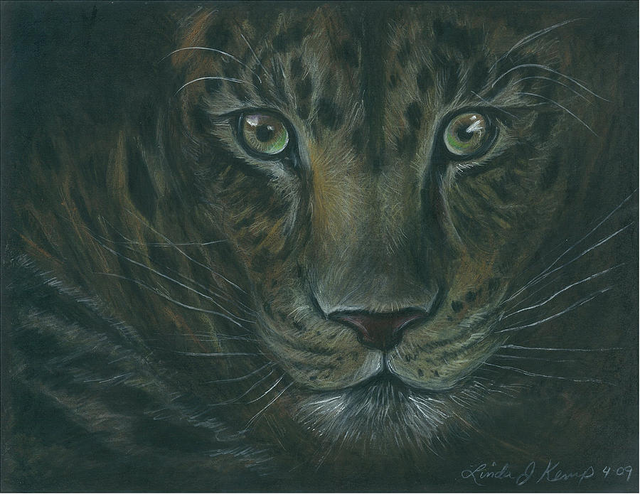 Leopard Drawing by Linda Nielsen