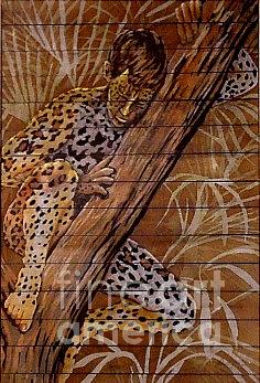 Leopard Longings Painting by Robert D McBain