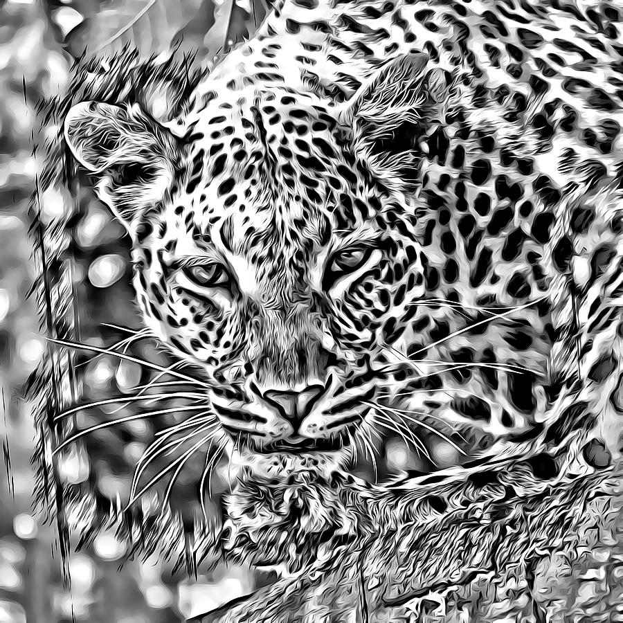 Leopard by Lucia Sirna Leopard by Lucia Sirna